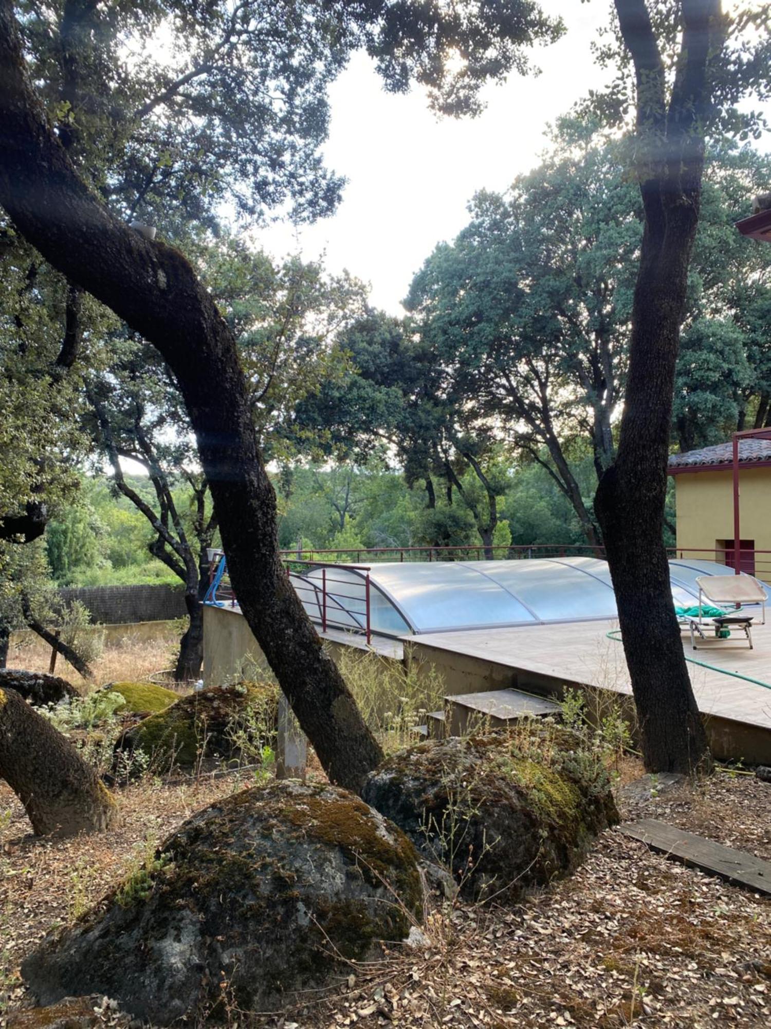 Chalet Con Piscina Vistas Y Salida A Parque Natural El Escorial Ngoại thất bức ảnh